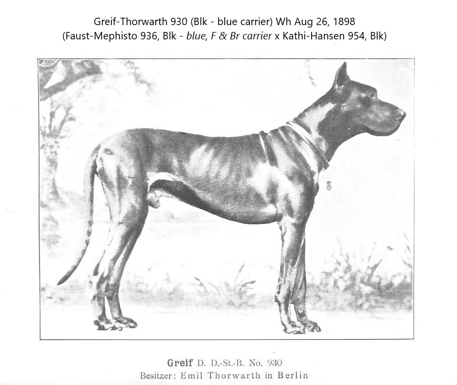 Greif